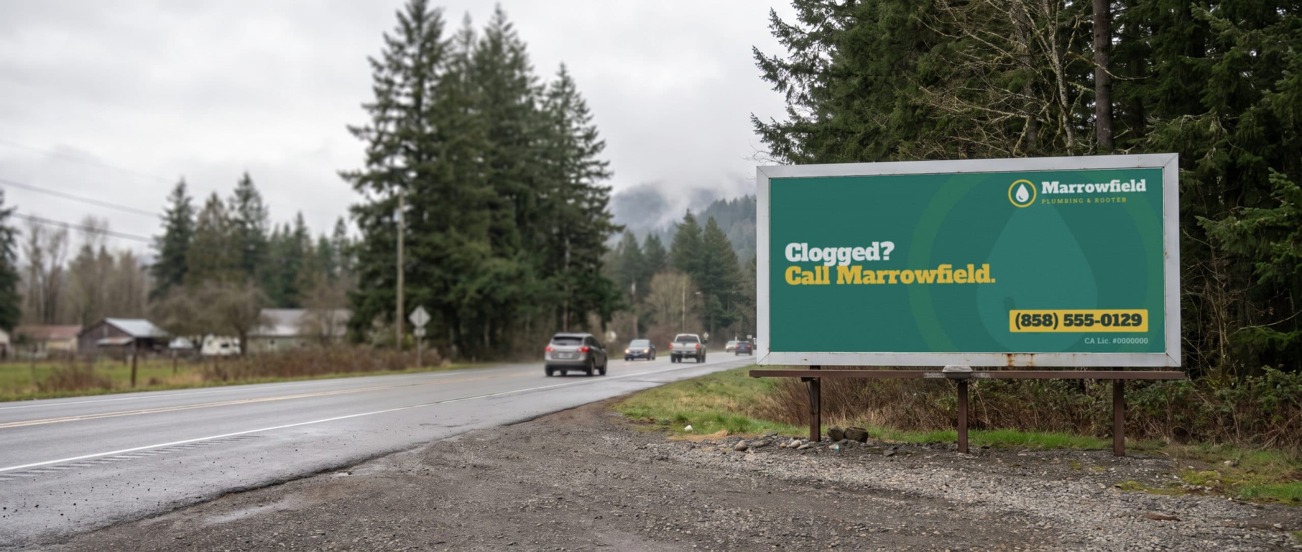 A poster billboard beside a Pacific Northwest road, showing a plumbing company ad.