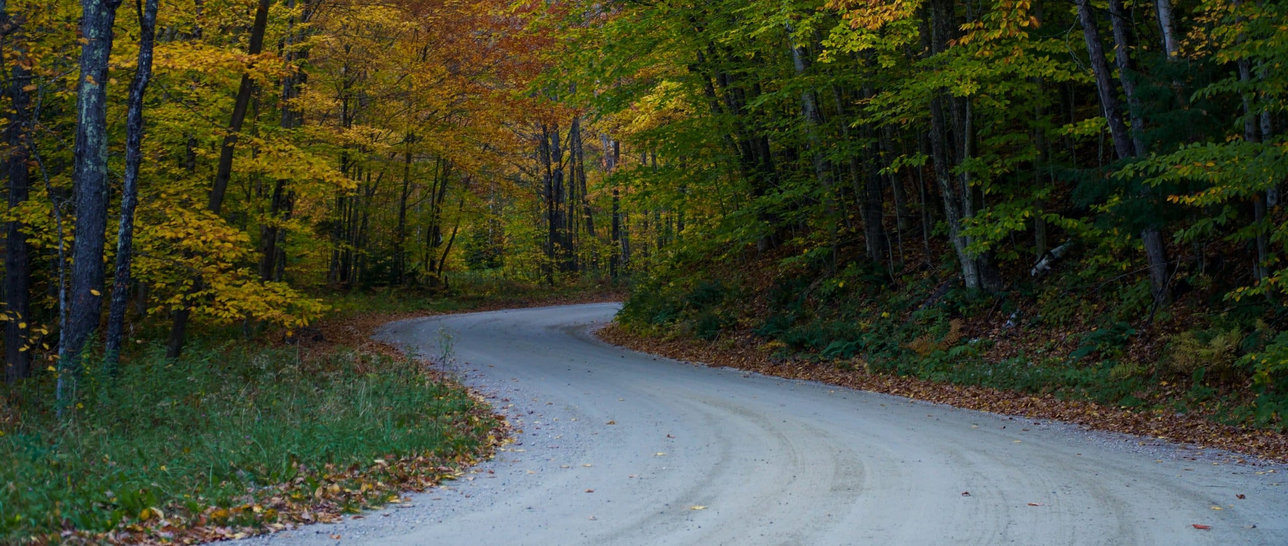 A winding gravel road curving through trees in full Vermont fall color, with no signs or billboards in sight.